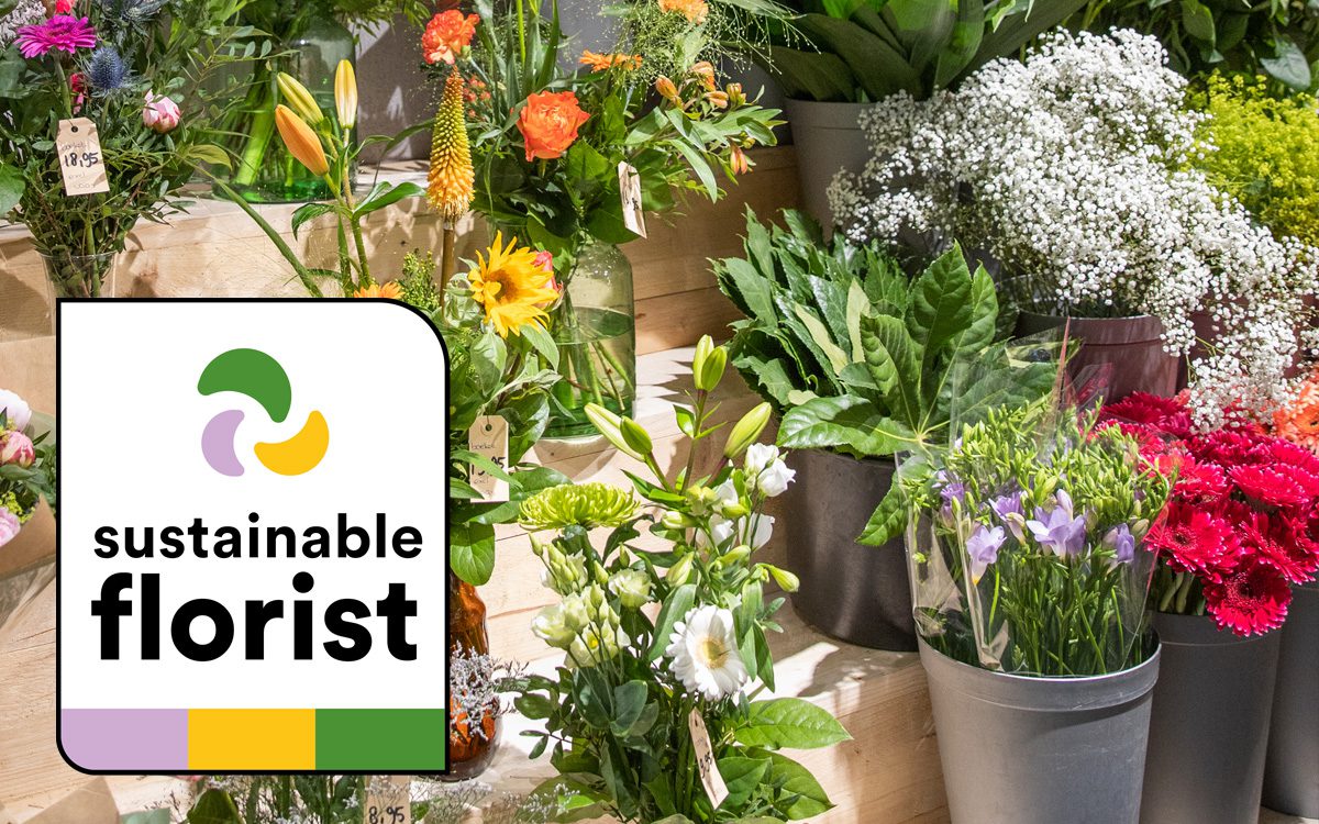 Bloemsierkunst Oxalis - Uw bloemist in regio 's-Hertogenbosch foto 3